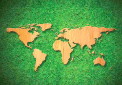 Sverus Fotótapéta Wood World Map on Green Grass Background, 416 x 254 cm (SV-33099983WM-416X254CM)