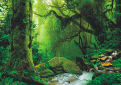 Sverus Fotótapéta Nepal Jungle, 400 x 260 cm (SV-74389330WM-400X260CM)