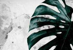 Consalnet Levél poszter, fotótapéta, Vlies (416 x 290 cm) (C1-13516VEXXXXL)