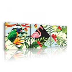 Consalnet Vászonkép 3 darabos, Trópusi minta, 3 db 25x25 cm méret (C5-11079S13)