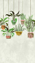 AS Fotótapéta, Függesztett cserepesvirágok, 159x280 cm (AS-38266-1)