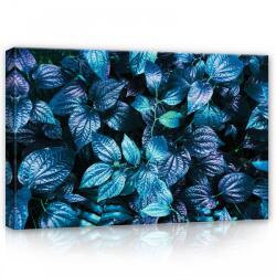 Consalnet Levelek, vászonkép, 60x40 cm méretben (C5-12728O4)