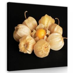 Consalnet Lampionvirág, vászonkép 40x40 cm méretben (C5-11780O5)