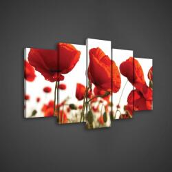 Consalnet Vászonkép 5 darabos, Pipacsok 100x60 cm méretben (C5-918S17)
