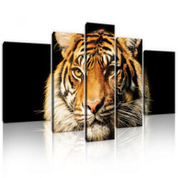 Consalnet Vászonkép, 5 darabos, Tigris 170x100 cm méretben (C5-20310S4A)