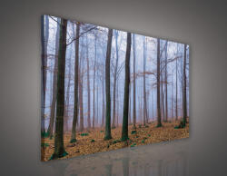 Consalnet Vászonkép, Erdő, 80x60 cm méretben (C5-1986O6)