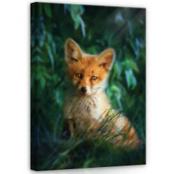 Consalnet Róka, vászonkép, 50x70 cm méretben (C5-12522O7)