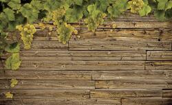 Consalnet Deszkafal poszter, fotótapéta Vlies (254 x 184 cm) (C1-2334V4)