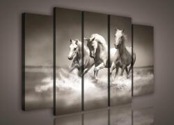Consalnet Vászonkép, 5 darabos Pegazusok 150x100 cm méretben (C5-1085S12)