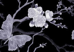 Sverus Fotótapéta Sakura Branch and Butterflies in Victorian Style, 312 x 219 cm (SV-55000889-312X219CM)