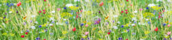 Dimex MEADOW WITH FLOWERS öntapadós konyhai poszter, 260x60 cm (KI-260-172)