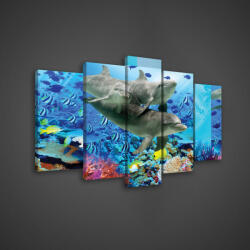 Consalnet Vászonkép 5 darabos, Delfinek 100x60 cm méretben (C5-116S17)