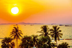 Dimex Vlies Fotótapéta - Palm tree in sunset - 375x250 cm (MS-5-1775)