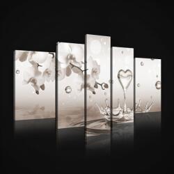 Consalnet Vászonkép, 5 darabos, Vízcseppek és orchidea 170x100 cm méretben (C5-2530S4A)