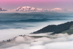 Dimex Vlies Fotótapéta - Misty forest - 375x250 cm (MS-5-1847)