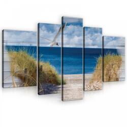 Consalnet Vászonkép, 5 darabos, Szárnyaló madár a tengerpart felett 170x100 cm méretben (C5-10026S4A)