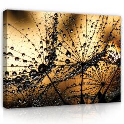 Consalnet Vászonkép, Pitypang barnában, 100x75 cm méretben (C5-415O1)