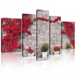 Consalnet Vászonkép, 5 darabos, Falra futott virágok 170x100 cm méretben (C5-20008S4A)