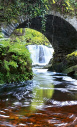 Dimex IRELAND fotótapéta, poszter, vlies alapanyag, 150x250 cm (MS-2-0081)