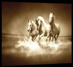 Consalnet Lovak, vászonkép, 60x40 cm méretben (C5-20299O4)