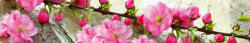Dimex SAKURA öntapadós konyhai poszter, 350x60 cm (KI-350-053)