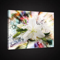 Consalnet Vászonkép, Liliom szines háttérrel, 60x40 cm méretben (C5-20023O4)