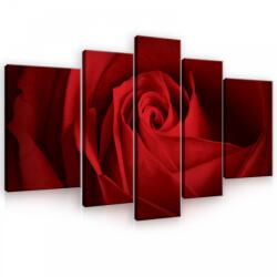 Consalnet Vászonkép, 5 darabos, Rózsa 170x100 cm méretben (C5-10151S4A)