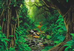 Sverus Fotótapéta Tropical Jungle, 400 x 260 cm (SV-68186512WM-400X260CM)