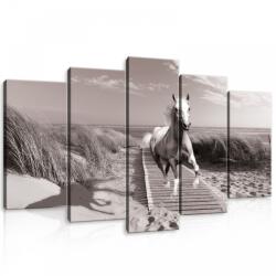 Consalnet Vászonkép 5 darabos, Ló a tengerparti mólón 100x60 cm méretben (C5-10229S17)