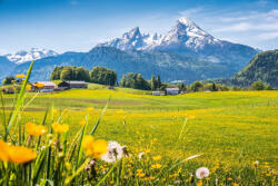 Dimex Vlies Fotótapéta - Alp meadow - 375x250 cm (MS-5-1712)