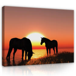 Consalnet Vászonkép, Lovak a naplementében, 60x40 cm méretben (C5-13603O4)