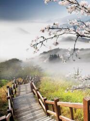 Consalnet Fa a hegyoldalban poszter, fotótapéta, Vlies (206x275 cm, álló) (C1-12022VEA)