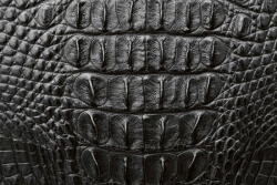Dimex Vlies Fotótapéta - grey crocodile skin - 375x250 cm (MS-5-2583)