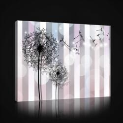 Consalnet Pitypangok, vászonkép, 60x40 cm méretben (C5-2652O4)