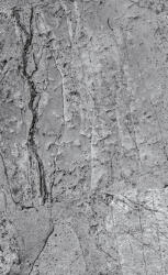 Dimex CONCRETE FLOOR fotótapéta, poszter, vlies alapanyag, 150x250 cm (MS-2-0173)