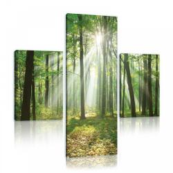 Consalnet Vászonkép 3 darabos, Erdő 130x80 cm méretben (C5-10508S16)