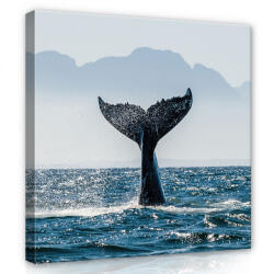 Consalnet Delfin ugrás közben, vászonkép 80x80 cm méretben (C5-12720O2)