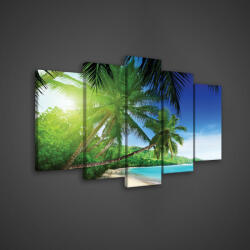 Consalnet Vászonkép 5 darabos, Pálmafás tengerpart 100x60 cm méretben (C5-20040S17)