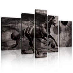 Consalnet Vászonkép, 5 darabos, Lovas absztrakt 170x100 cm méretben (C5-20303S4A)