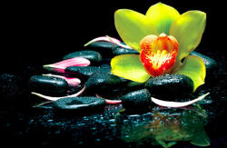 Sverus Fotótapéta Spa Zen Stones, 368 x 254 cm (SV-17012209WM-368X254CM)