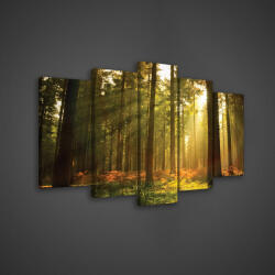 Consalnet Vászonkép 5 darabos, Erdő 100x60 cm méretben (C5-204S17)