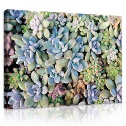 Consalnet Vászonkép, Kőrózsák, 100x75 cm méretben (C5-11757O1)