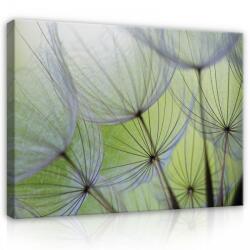 Consalnet Vászonkép, Pitypang, 60x40 cm méretben (C5-269O4)