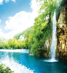 Dimex RELAX IN FOREST fotótapéta, poszter, vlies alapanyag, 225x250 cm (MS-3-0085)