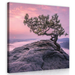 Consalnet Fa a sziklán, vászonkép 80x80 cm méretben (C5-11749O2)