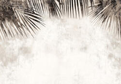 Consalnet Vintage pálmalevelek poszter, fotótapéta, Vlies (100 x 75 cm) (C1-15405VX2)