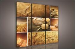 Consalnet Kalászok, 3 darabos vászonkép, 90x80 cm méretben (C5-178S6)