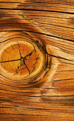 Dimex WOOD KNOT fotótapéta, poszter, vlies alapanyag, 150x250 cm (MS-2-0157)