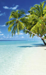 Dimex PARADISE BEACH fotótapéta, poszter, vlies alapanyag, 150x250 cm (MS-2-0215)