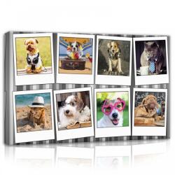 Consalnet Vicces állatok, vászonkép, 60x40 cm méretben (C5-10454O4)